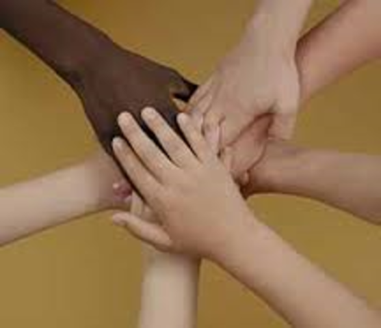 The Charter of Rights and Freedoms