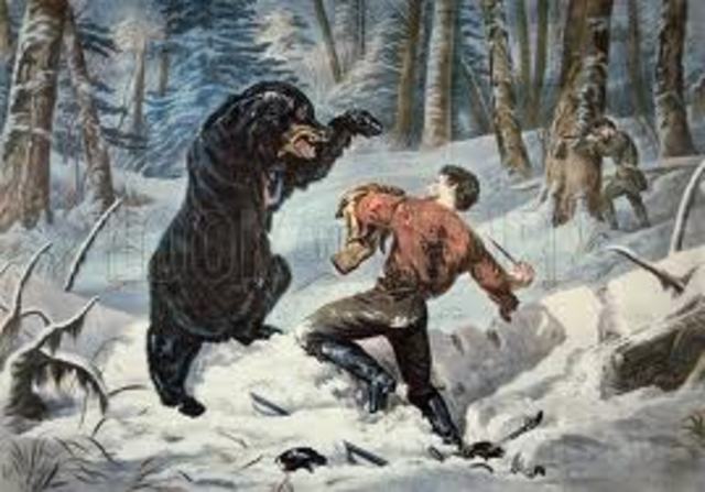 Smith is Attacked by a Bear.