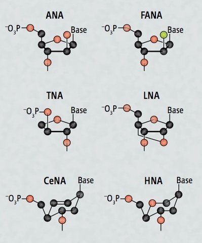 Philipp Holliger y Vitor Pinheiro