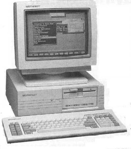 9% of Adults Access Internet