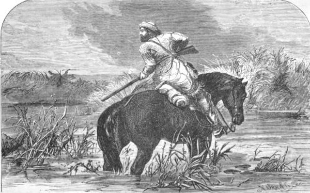 Snake Brigades - Environment