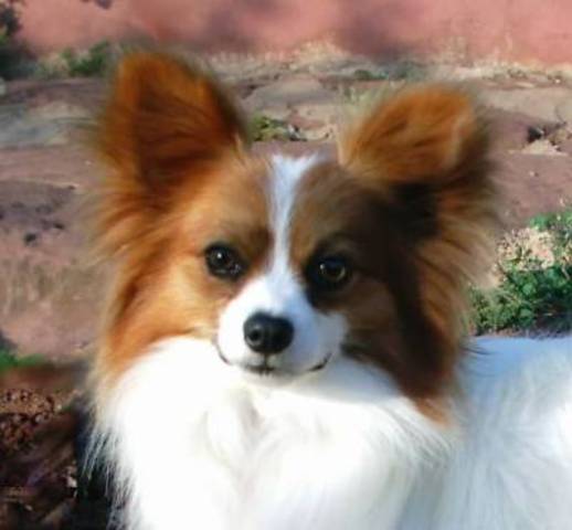 Nasceu o meu sobrinho