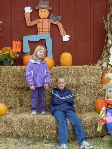 Pumpkin Patch