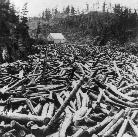 Logging - Environment