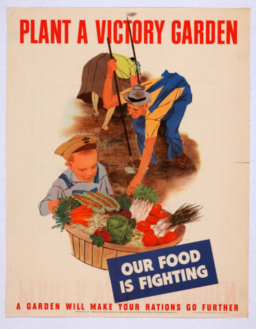 Victory Gardens become a thing