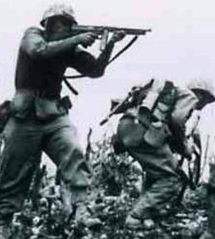 Axis forces ( intresting facts)