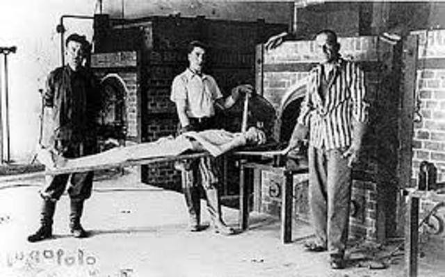 Nazi Final Solution Developed