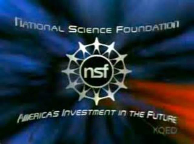 NSF
