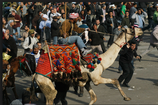 Battle of the Camels