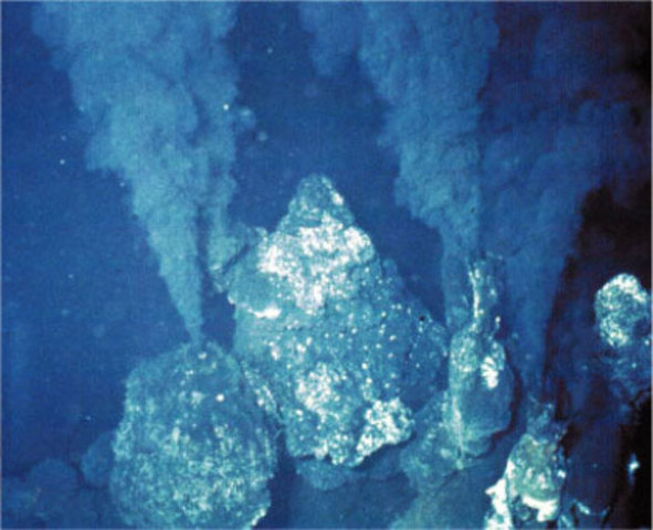 Sixth hypothesis: Hydrotermal springs.