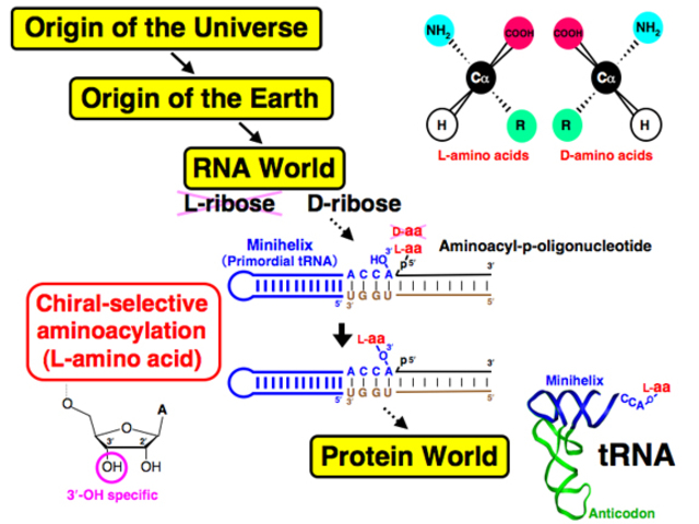 Seventh Hypothesis: RNA's World.