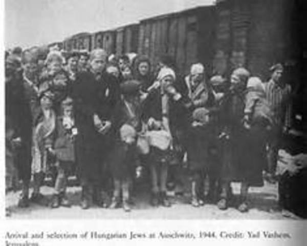 Nazi Final Solution developed