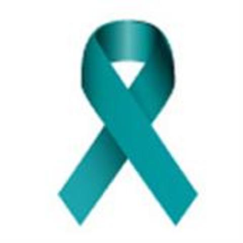 SASE officer initiation