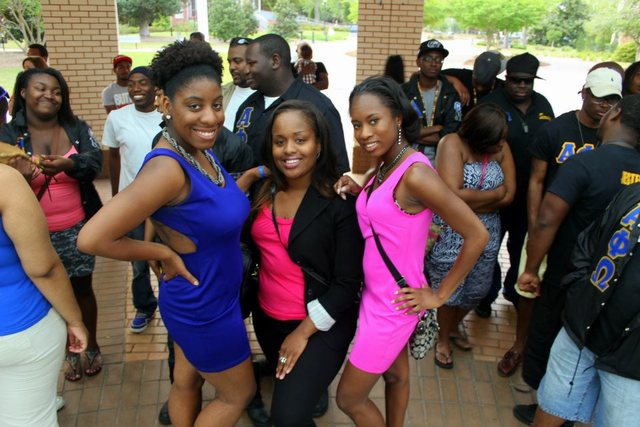 I PLEDGED ALPHA PHI OMEGA