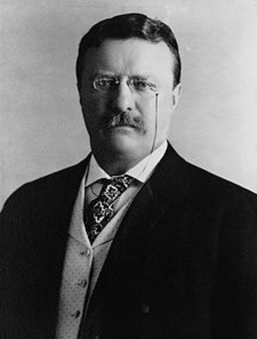 President Theodore Roosevelt