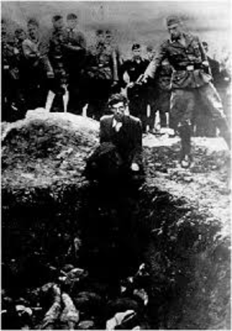 Nazi Final Solution Developed