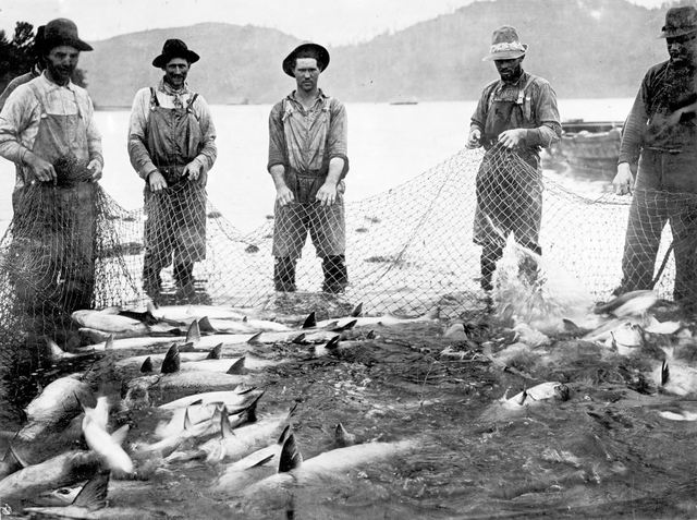 The Halibut Treaty
