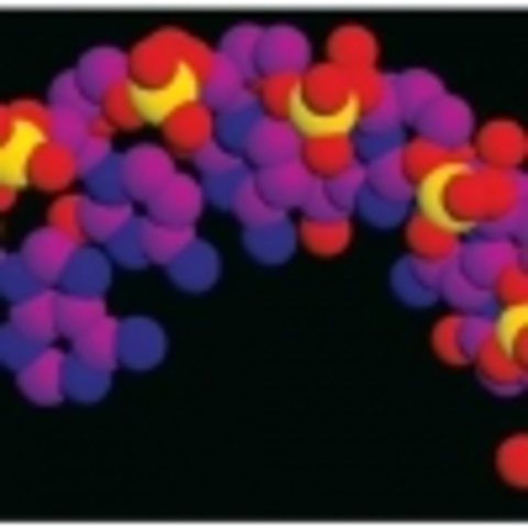 Nukleiinhapped rakutuumades