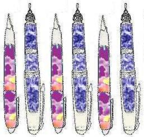 first practical fountain pen is patented