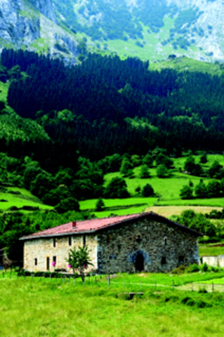 The Garza family took in the injured and orphaned children after the bombing