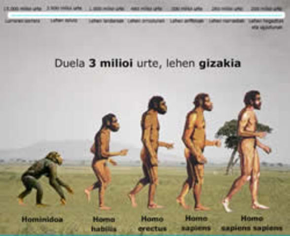 Charles Darwin, gizakiaren eboluzionaketa