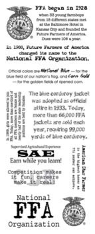 is when it became a founded oranzion