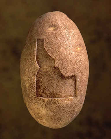 J.R. Simplot begins potato dehydration