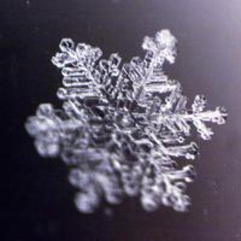 Walther Nernst- absoluutne null