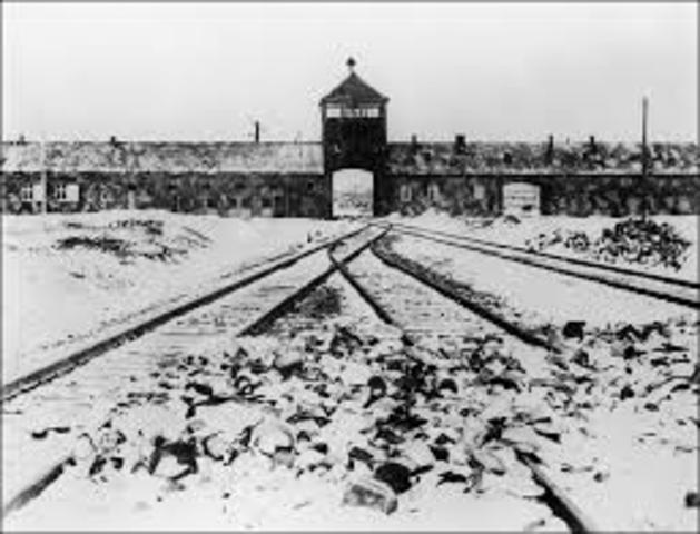 Auschwitz is Established
