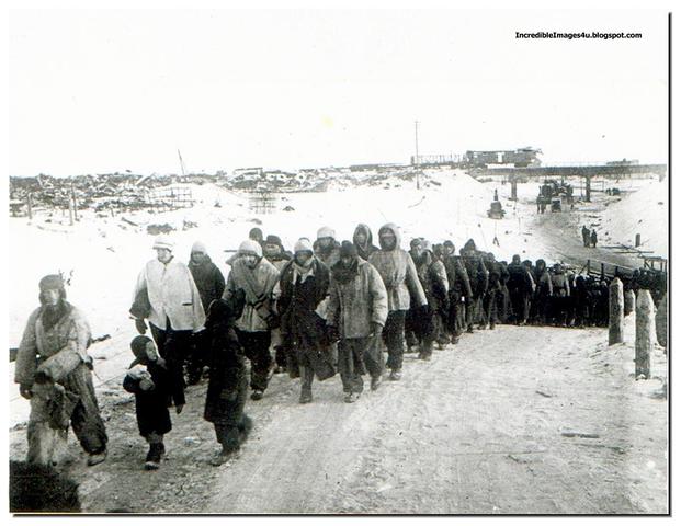 The Germans surrender at Stalingrad, Soviet Union