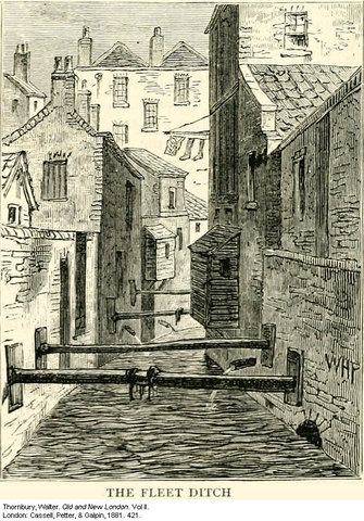 Queen Mary I sends her sister to the Towers out on suspicion of a rebellion against the Queen. Elizabeth then spend a year of her life under strict supervision under her sisters comand.