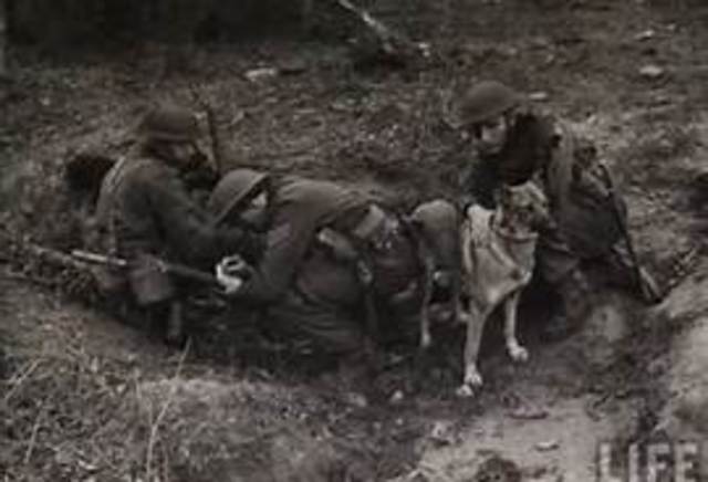 Desert Campaigns in Africa Begin