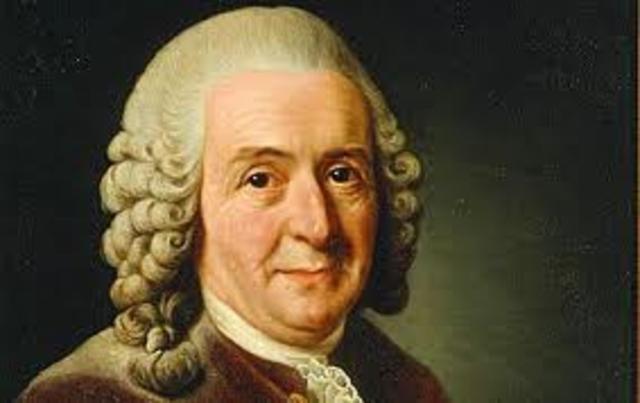 Carl Linneo; clasificación y evolución