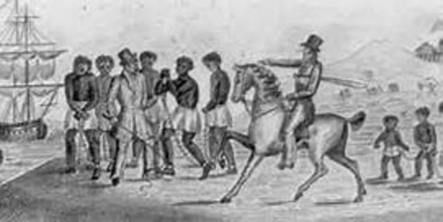 The Abolition Movement