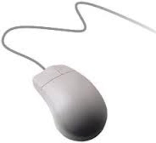 Computer Mouse & Windows