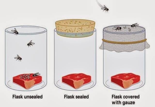 Redi's experiment