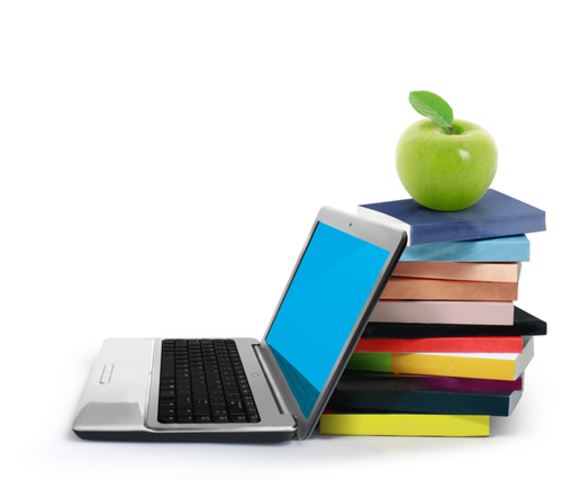 TEXTBOOKS? With the adoption of materials there will be an incremental shift from hardbound textbooks to virtual textbooks and resources.  Teacher will plan in a more integrative fashion using online resources rather than a classic teacher's edition.