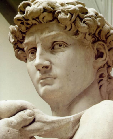 Michelangelo started working on David