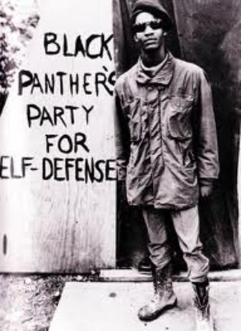 Black Panthers Arrested