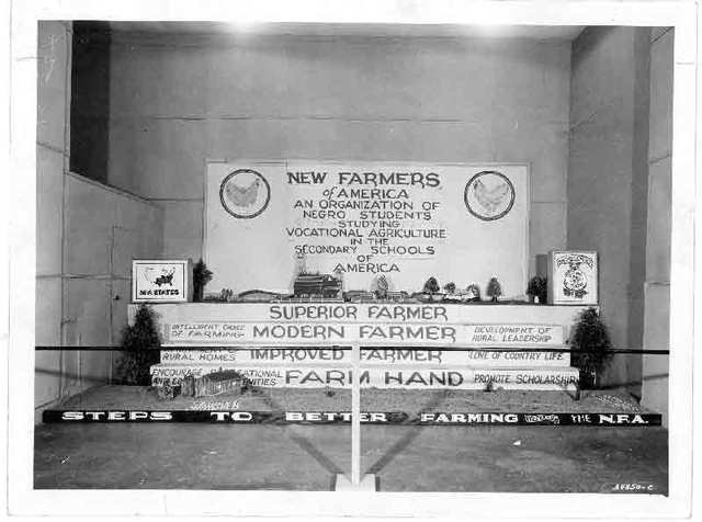 this is when NFA started