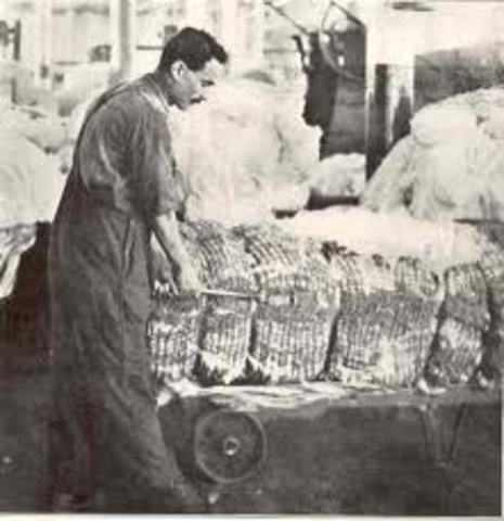 more than a million bales of cotton being produced