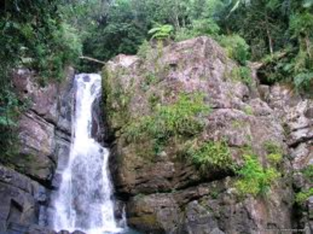 Puerto Rico El Yunque hike