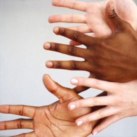 Executive Order 11246 Passed