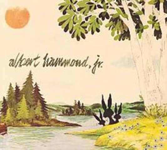 Albert Hammond Jr.: Yours To Keep