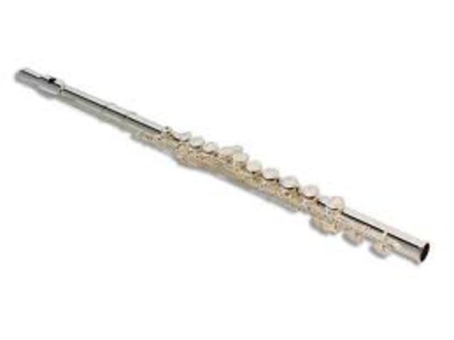 Started Playing the Flute