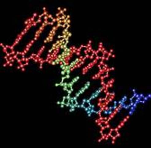 Mapping of the Human Genome