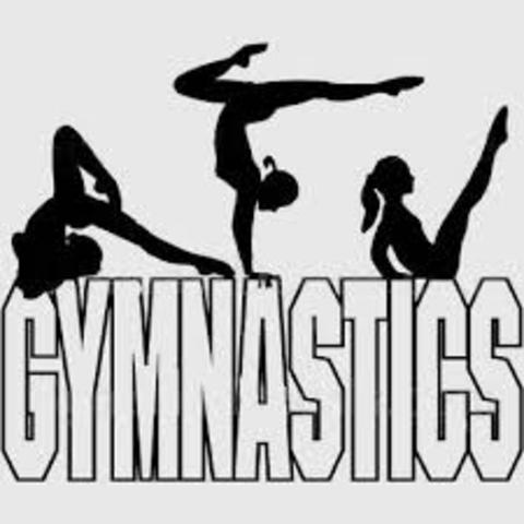 began gymnastics