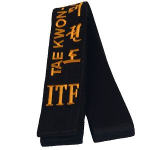 Receive black belt in Tae Kwon Do