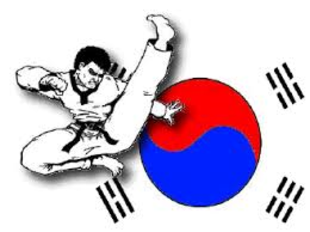 Started Tae Kwon Do