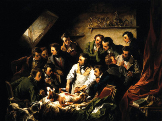 Vivisection Objections for Animal Rights